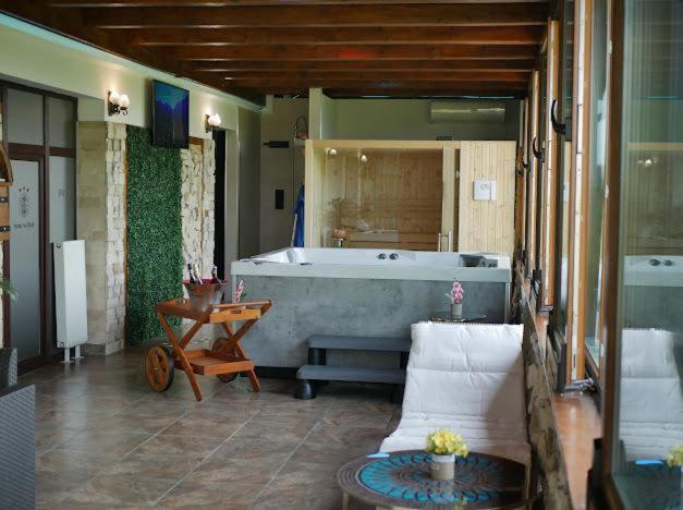 Hanu Lui Gica Spa Сату-Маре Экстерьер фото