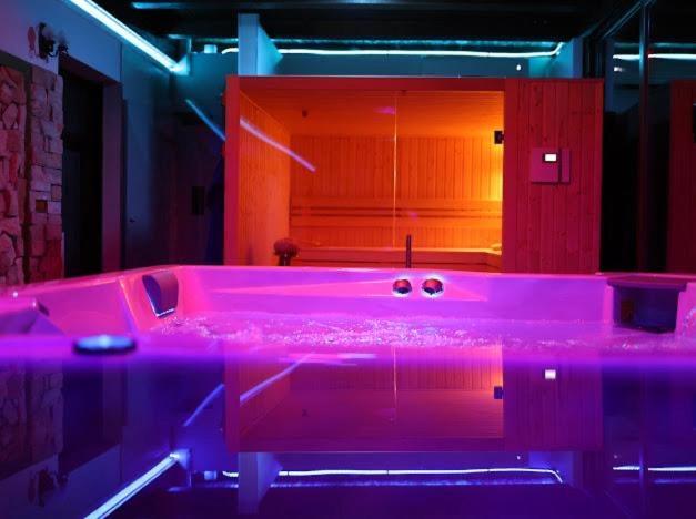 Hanu Lui Gica Spa Сату-Маре Экстерьер фото
